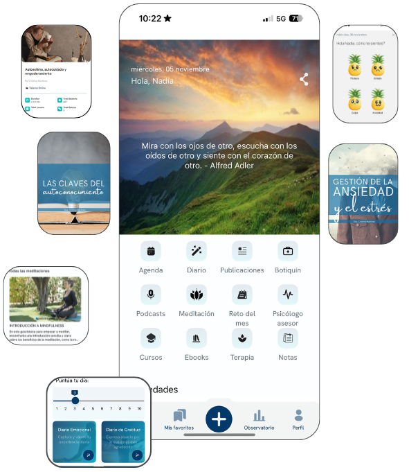 Propiedades de la aplicación Psicovirtual